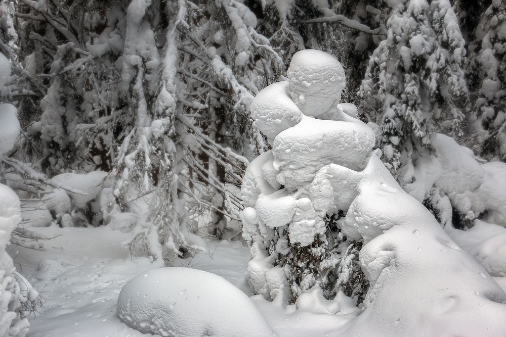 Фотография автора Юдинских Марина