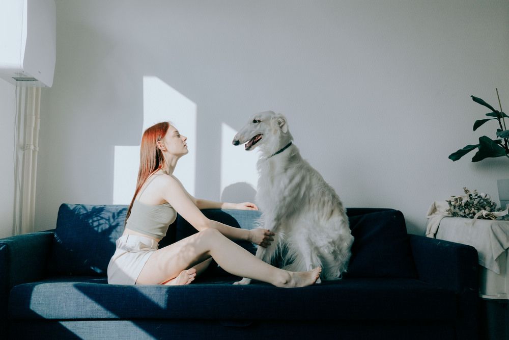 Photograph by Ольга Кушнарева