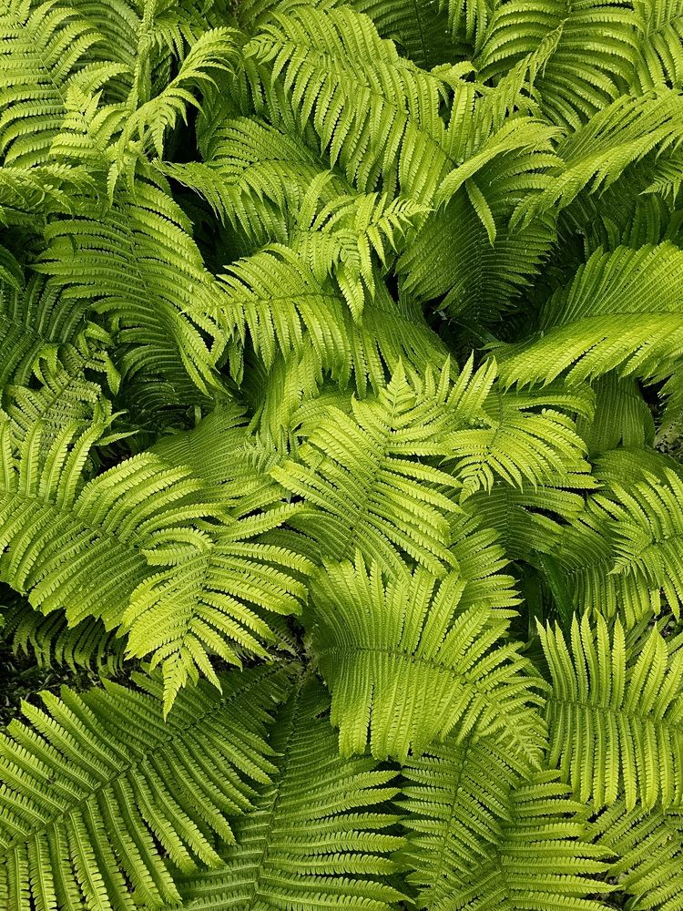 Фотография автора Галина