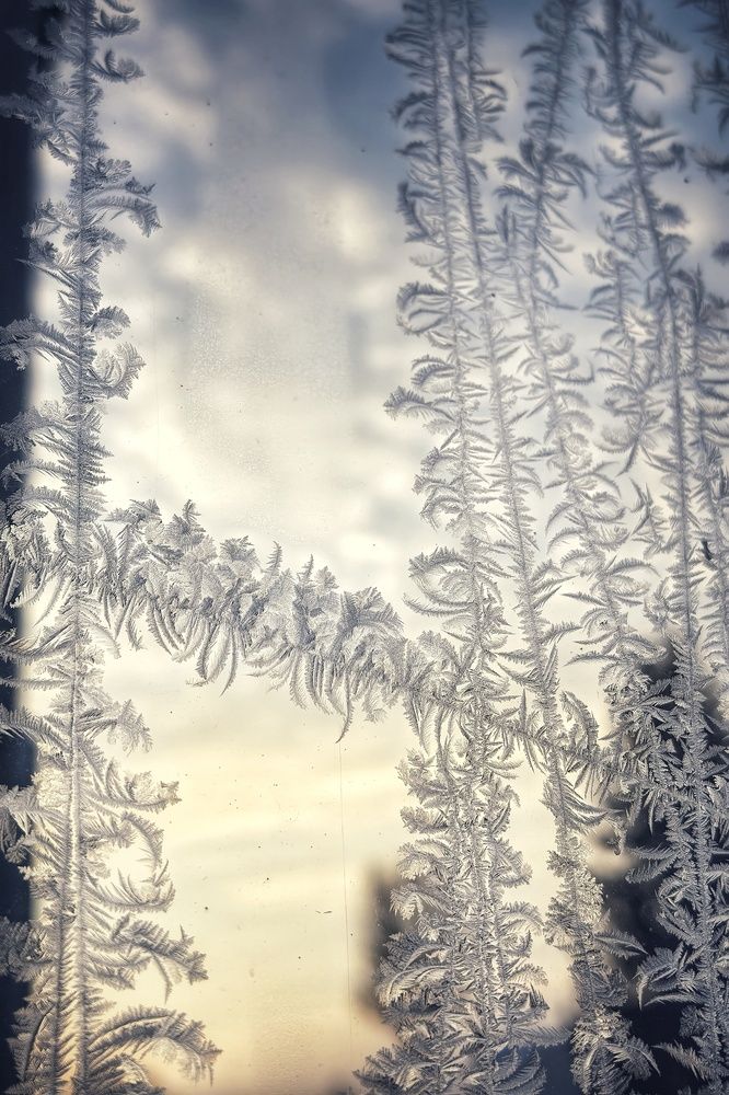 Photograph by Анна Зорька