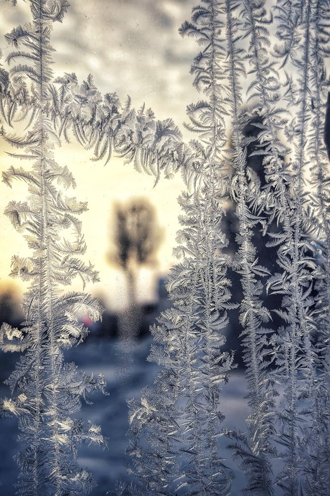 Photograph by Анна Зорька