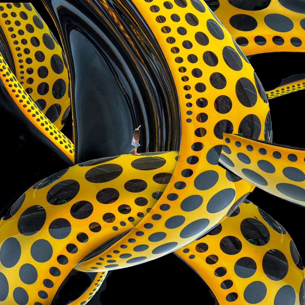 Photograph by Peter Hammer