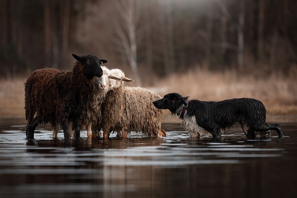 Photograph by Ольга Легенькая
