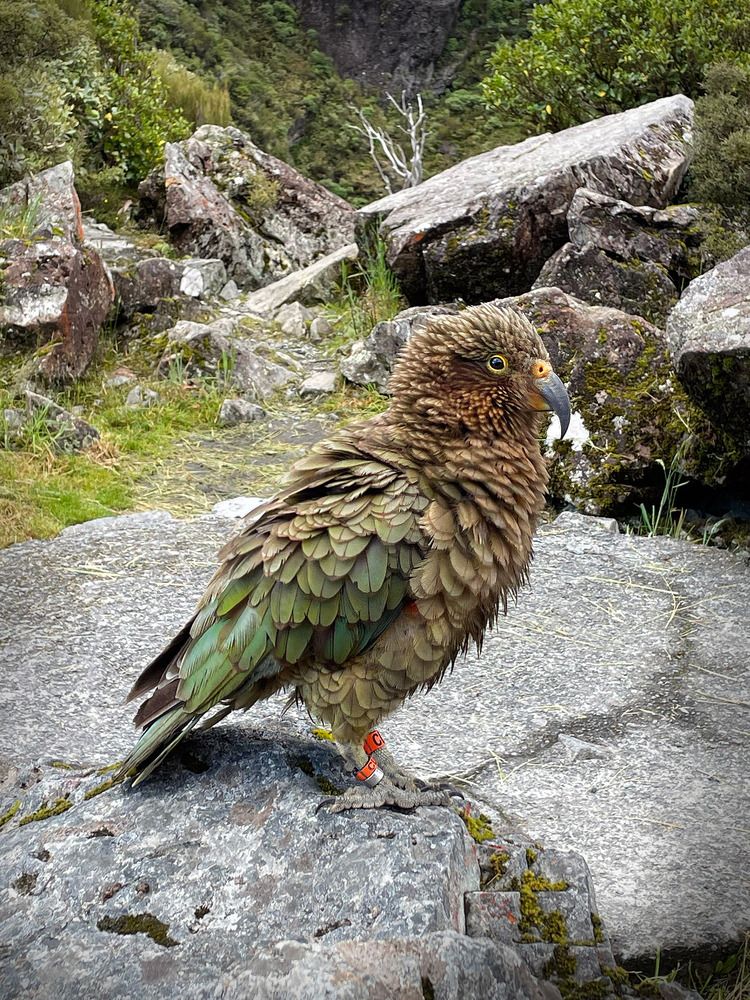 Photograph by Марина