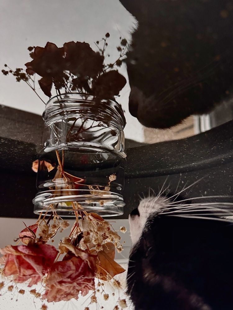 Photograph by Алена Кривцова