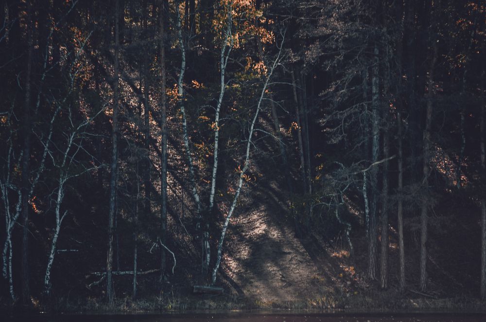 Photograph by Ирина Ковалева