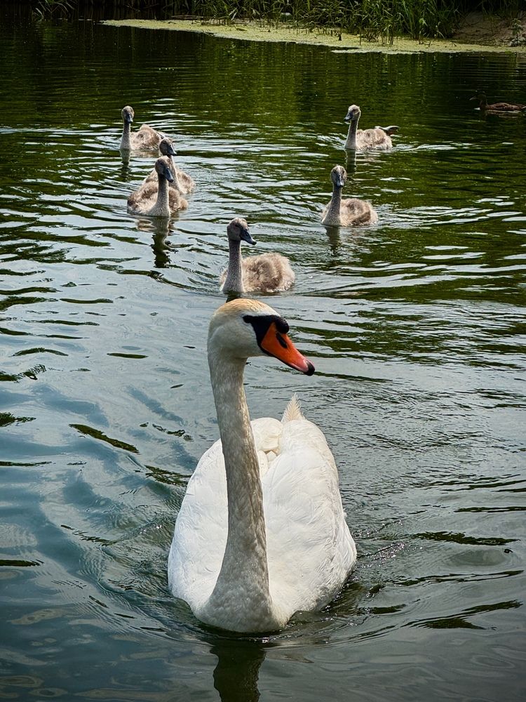 Photograph by Ксения Юртаева