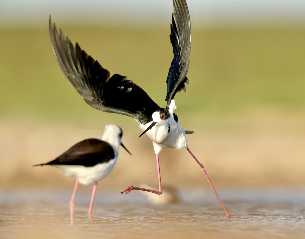 Фотография автора Леонид Голубков