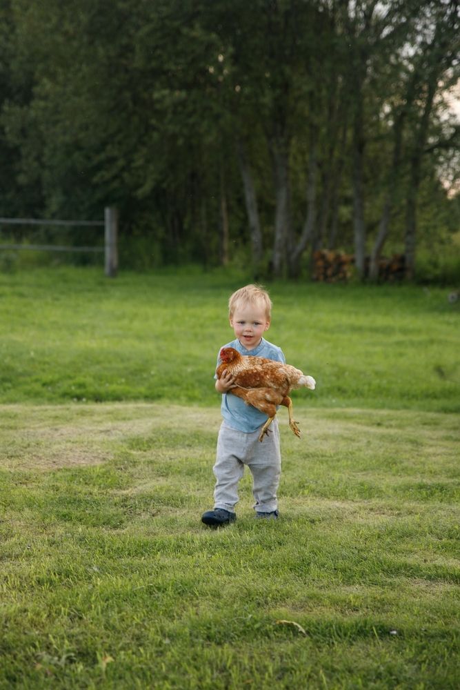 Photograph by Елена Седова