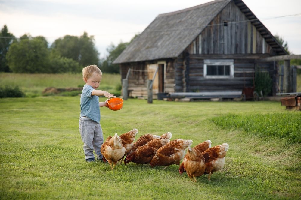 Photograph by Елена Седова