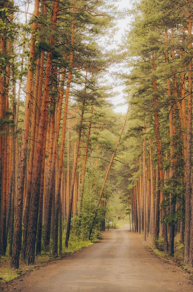 Photograph by Ирина Ковалева