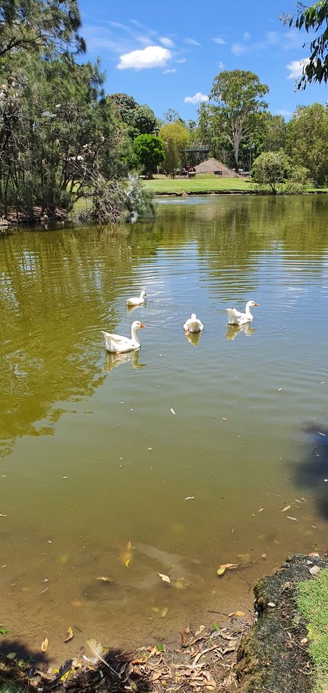 Photograph by Priscilla Niranjan