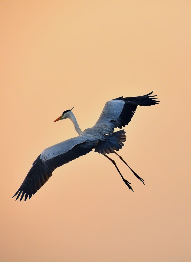 Photograph by Prasad Kumbhar