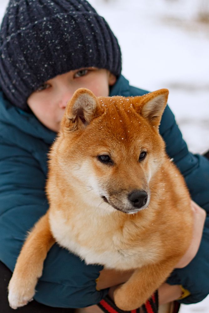 Photograph by Екатерина Будакова