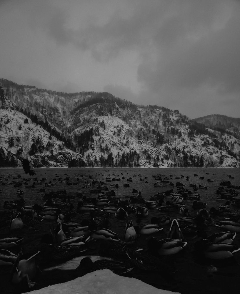 Siberia nature
