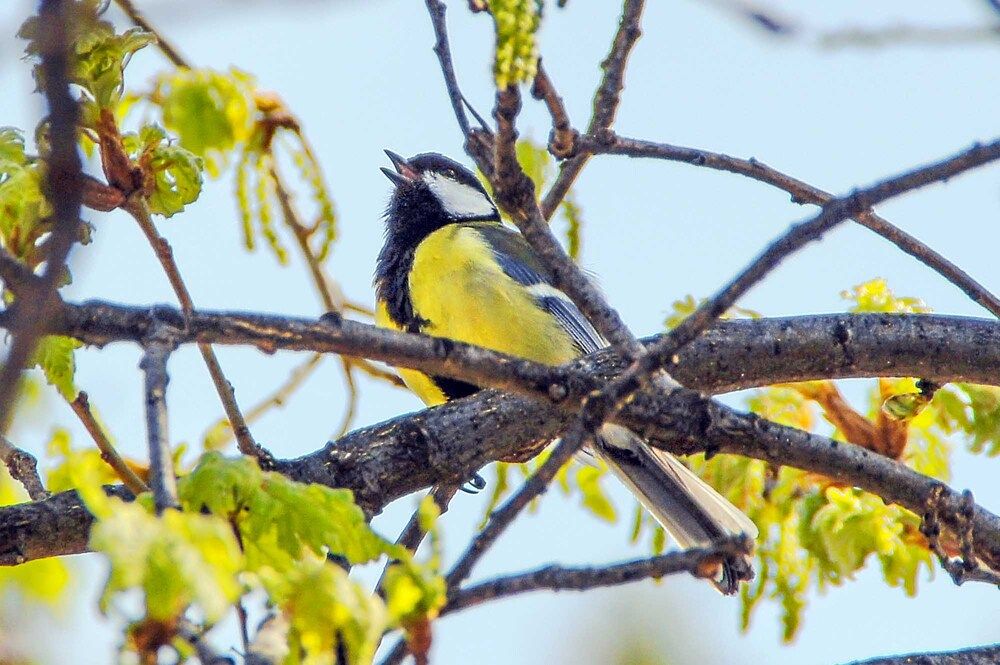 Photograph by Евгений Киселев
