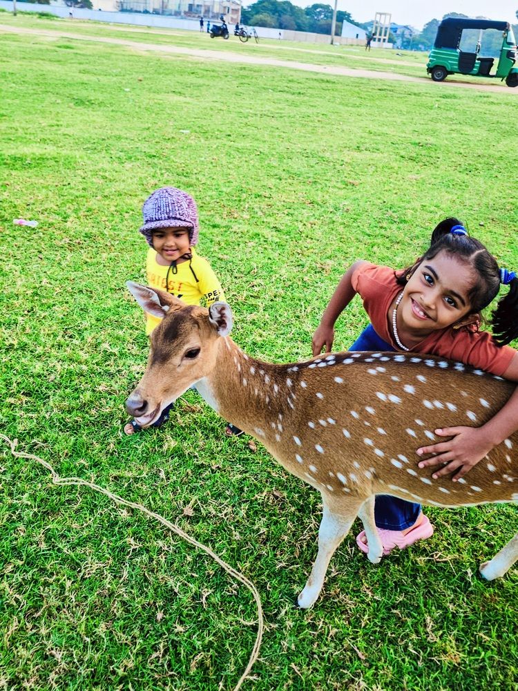 Photograph by Rashad Rafeudeen