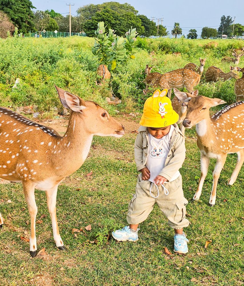 Photograph by Rashad Rafeudeen