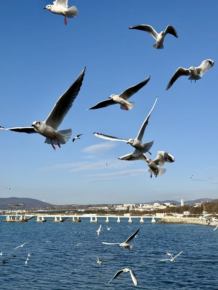 Photograph by Валентина Спиридонова