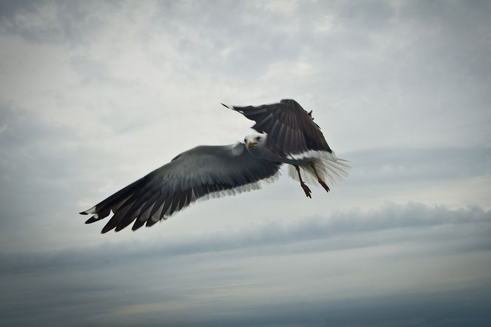 Photograph by Света Трифоненкова