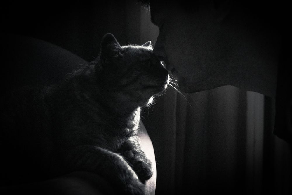 Photograph by Света Трифоненкова