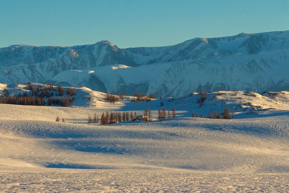Фотография автора Галина Шепелева