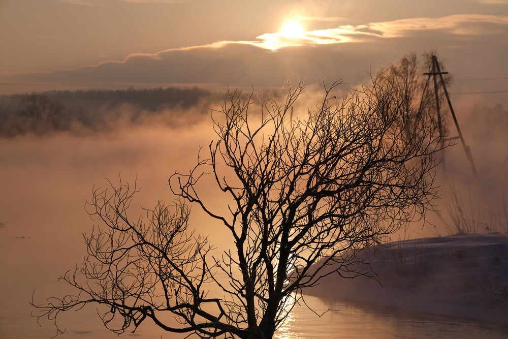 Photograph by Михаил Рогачев