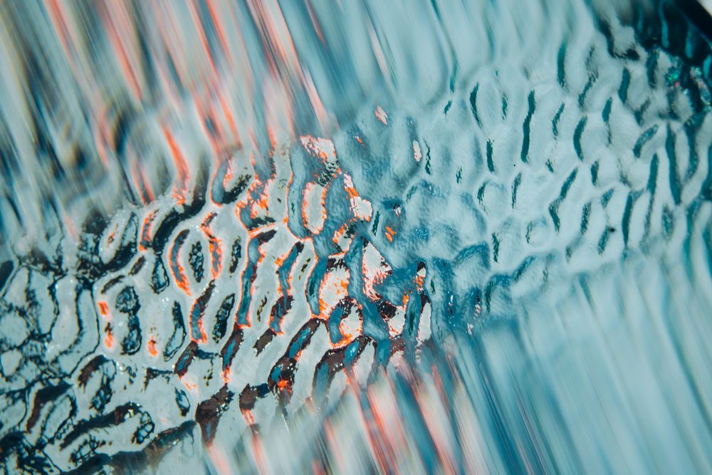 Photograph by Марина Верятинская