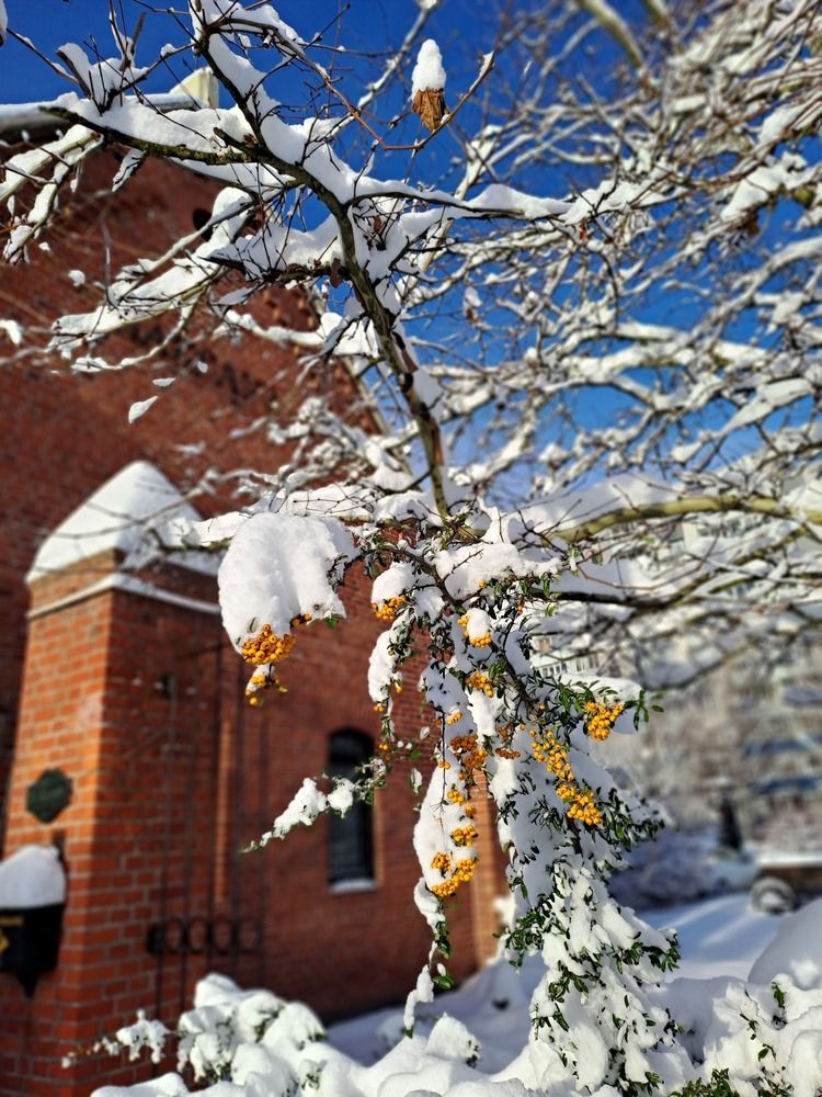 Photograph by Ирина Савельева