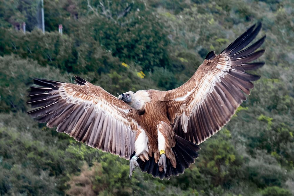 A Second Before Touch