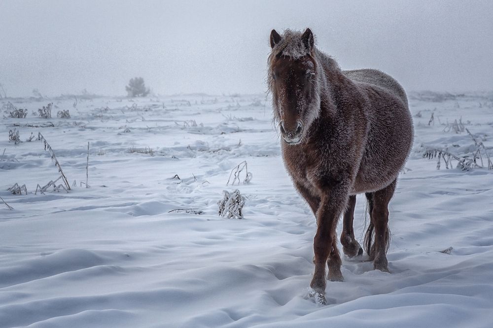 Фотография автора Олег Тетерин