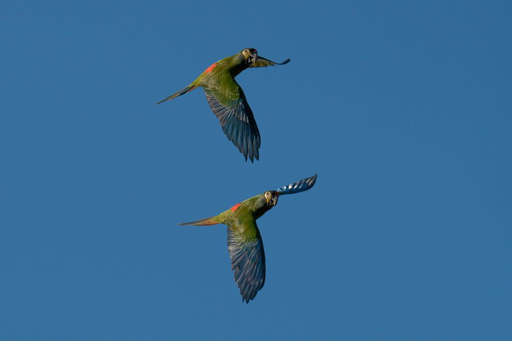 Photograph by Ангелина Ильичева