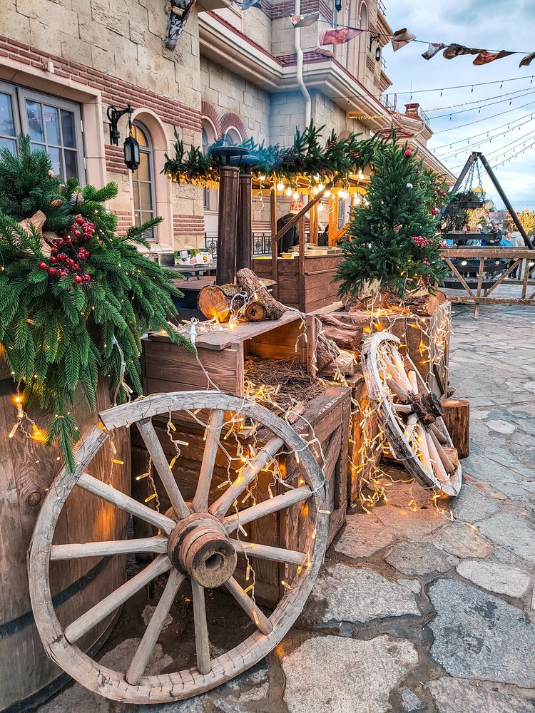 Фотография автора Наталья Королева