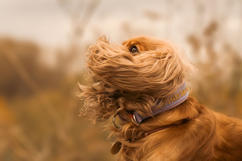 Photograph by Гречаная Мария