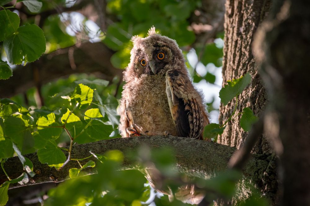 Photograph by Радик Гатауллин