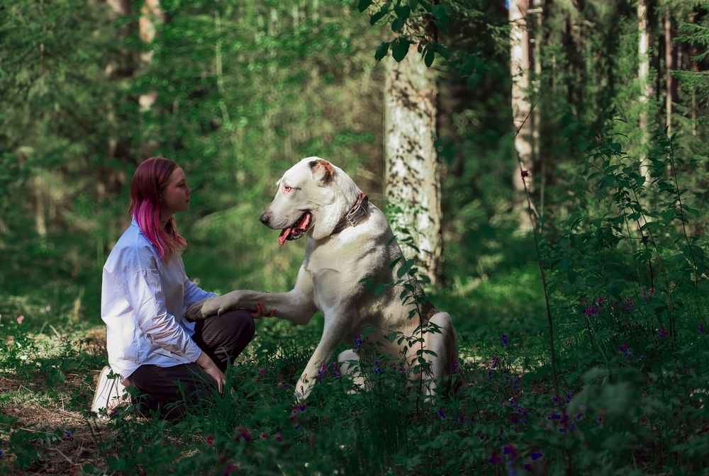 Photograph by Александра Мамаева