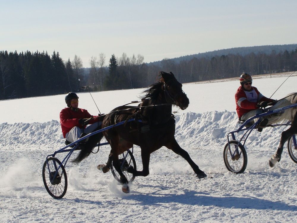 Фотография автора Николай Худяков