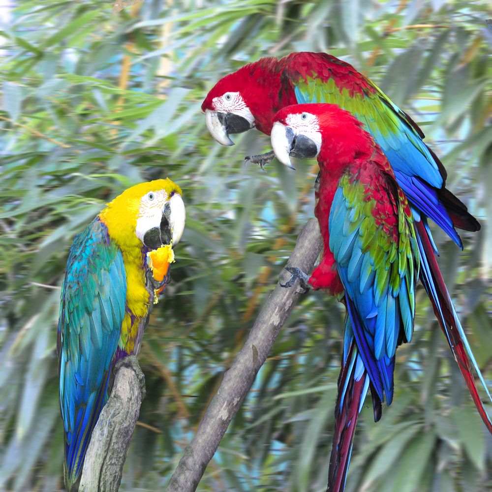 Photograph by Евгений Самулев