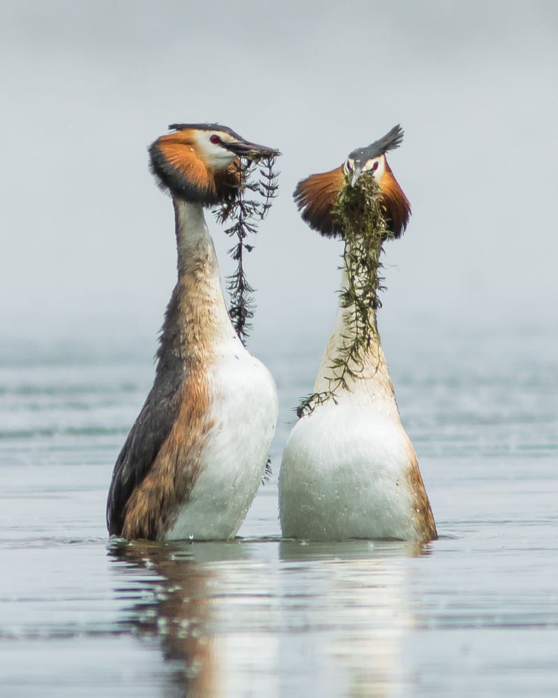 Photograph by Суслов Дмитрий