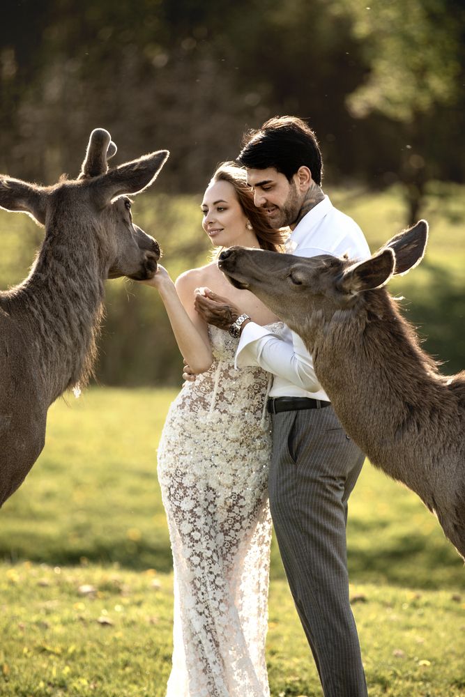 Фотография автора Ольга Бондарчук