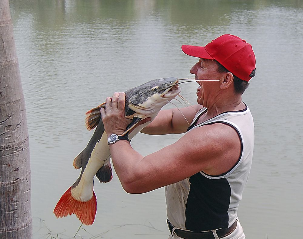 Photo #13156969