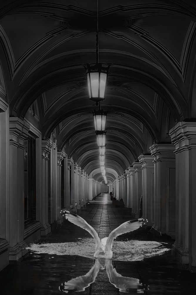 Фотография автора Татьяна Бравая