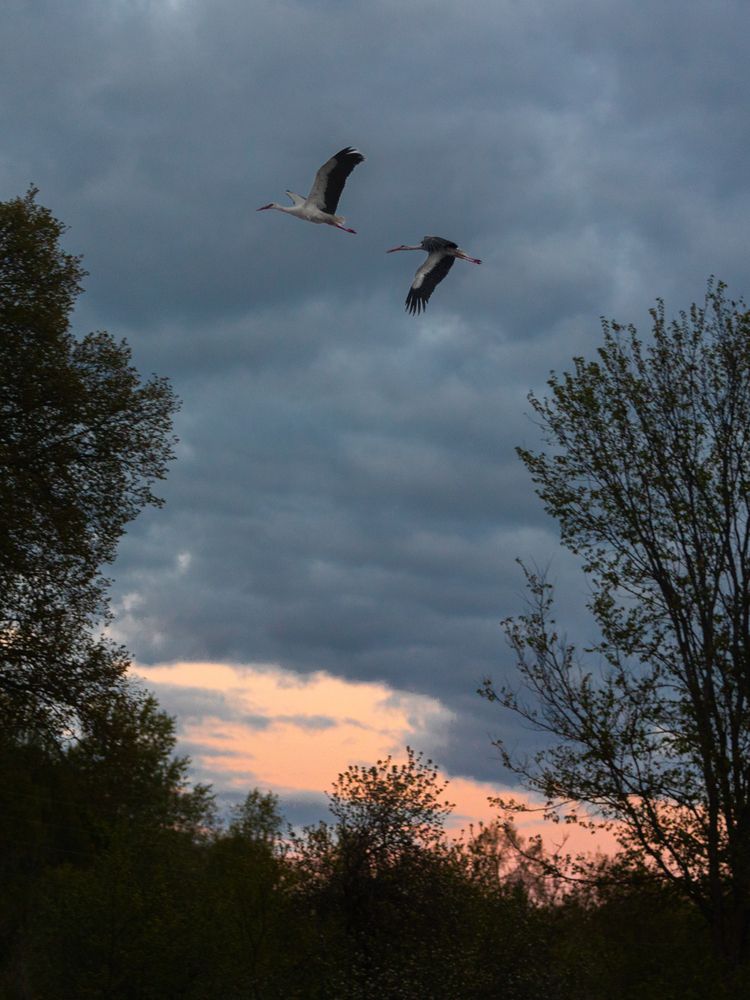 Photograph by Митрошенков Алексей