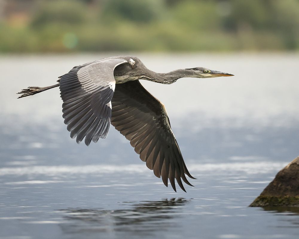 Фотография автора Суслов Дмитрий