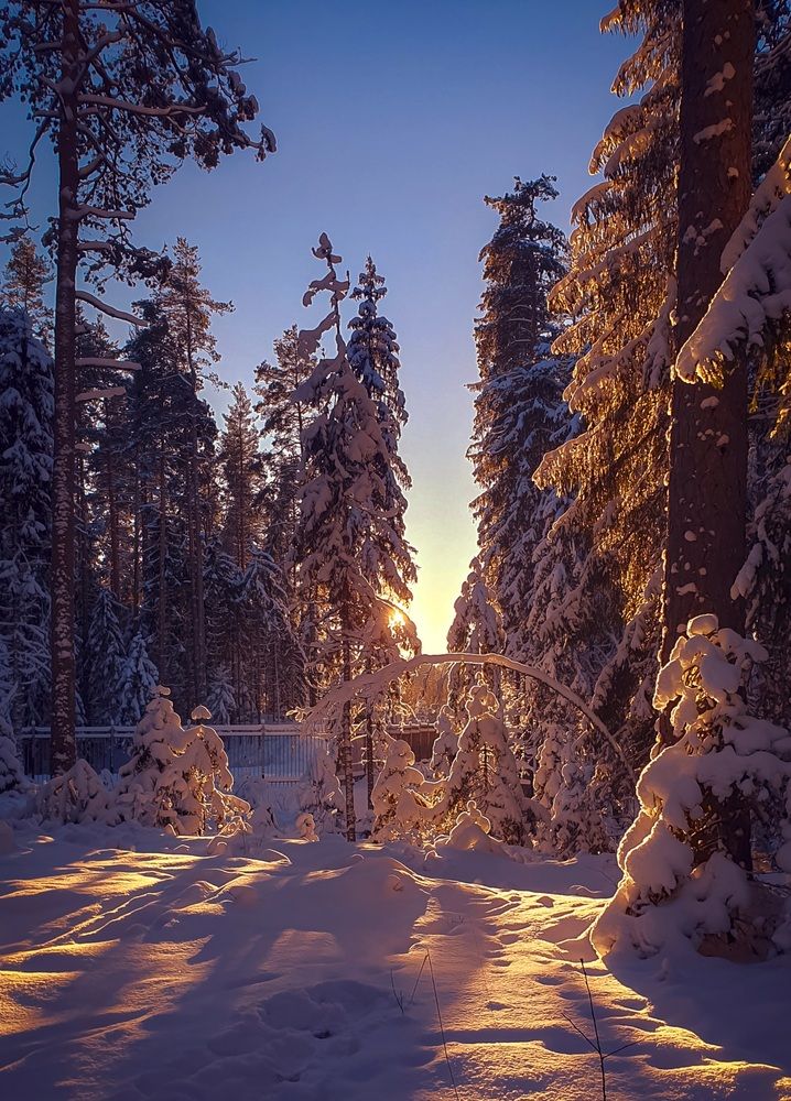 Фотография автора Inna Evseeva