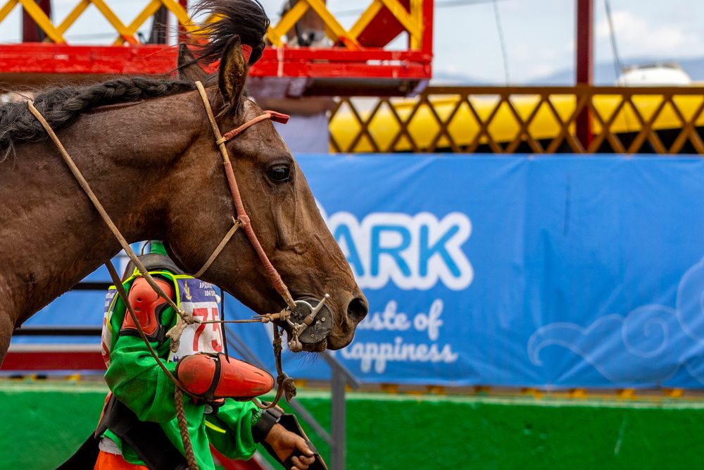 Photograph by Анар Мөнхбаатар