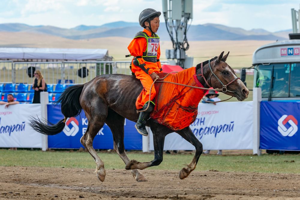 Photograph by Анар Мөнхбаатар