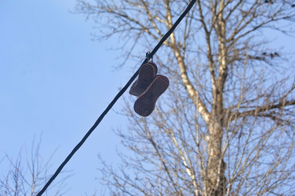 Фотография автора Татьяна Бравая