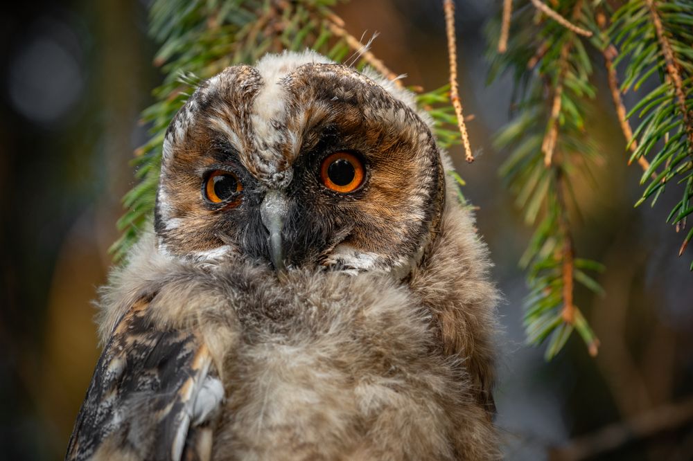 Photograph by Радик Гатауллин