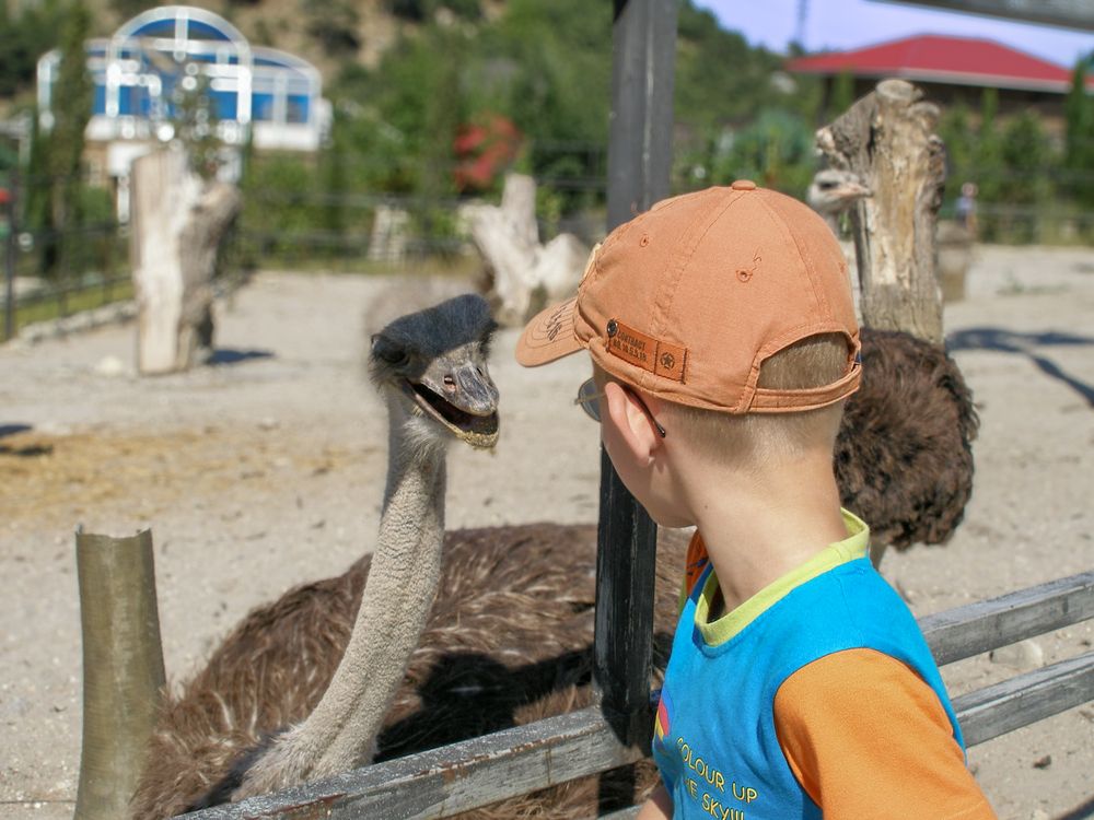 Photograph by Виталий Са